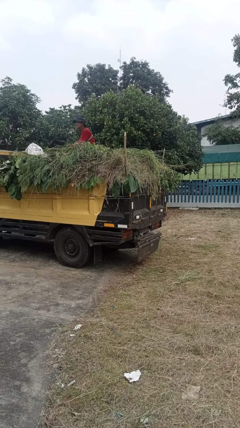 jasa tebang pohon profesional terpercaya
