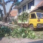 Layanan jasa tebang pohon terbaik