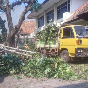 Tukang Tebang Pohon Jogja