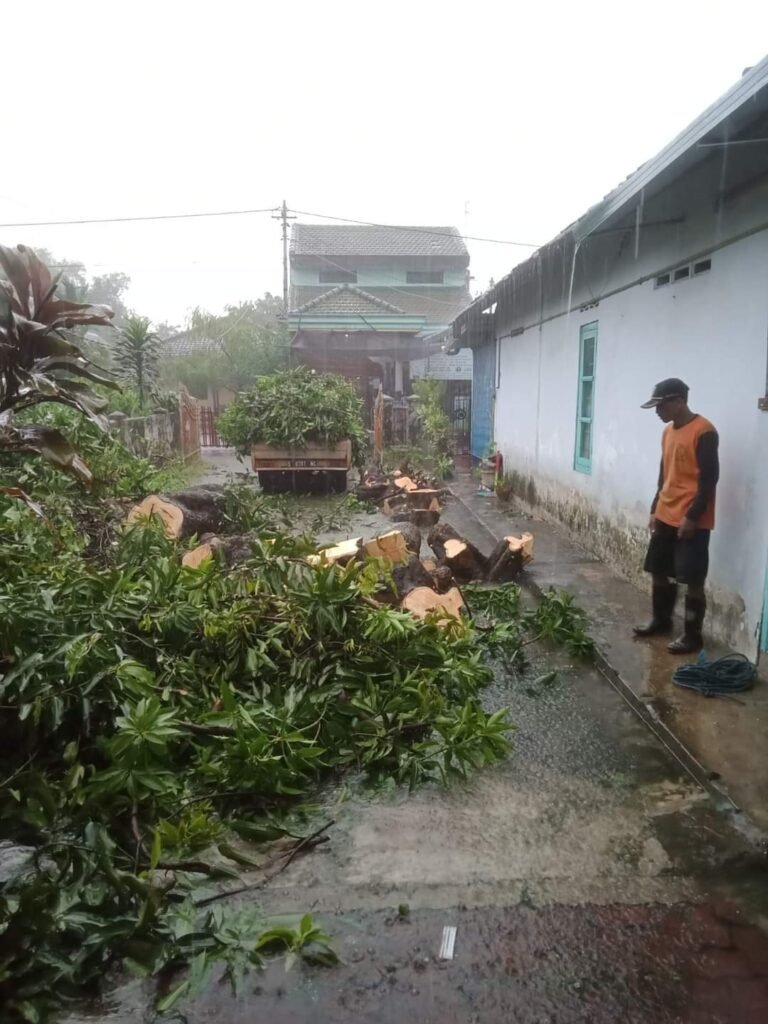 Jasa Tebang Pohon Terbaik di Jogja